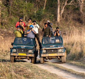 Jungle Safari